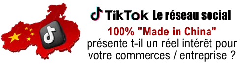 ARTICLE BLOG TIKTOK