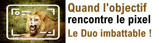 article photographe agence digitale duo imbattable