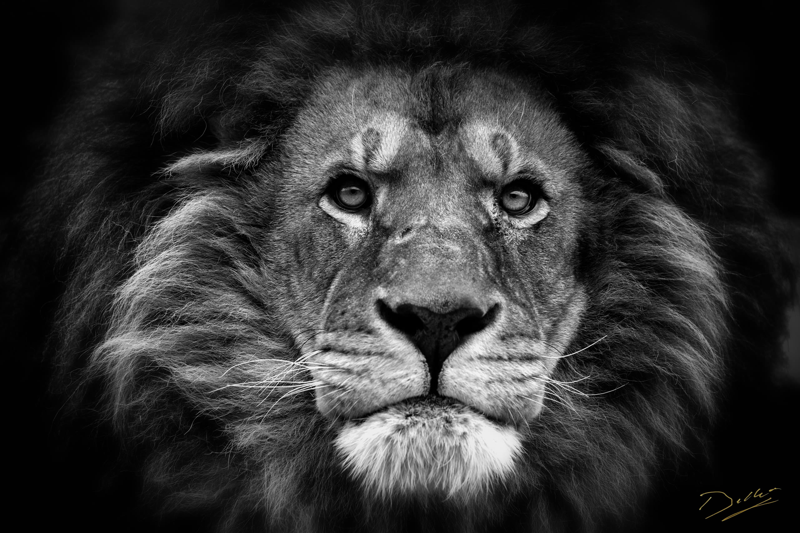 Reportage Zoo